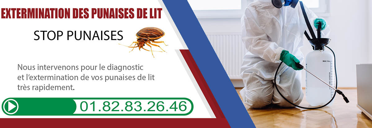 Punaises de Lit Neuilly sur seine